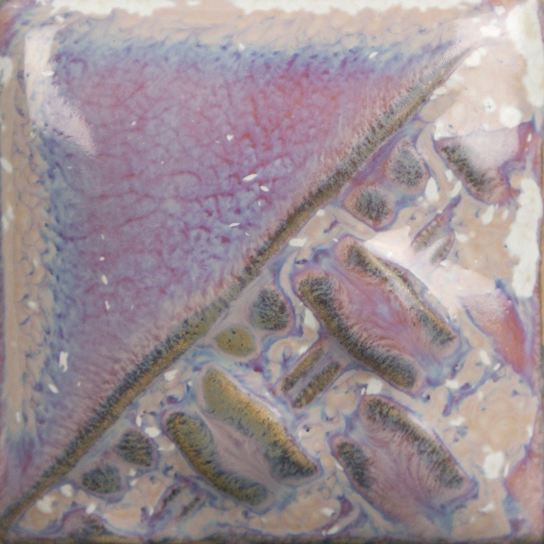 Sand Dollar - Glazes 16oz
