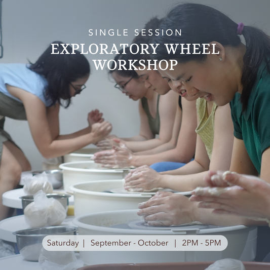 Exploratory Wheel Workshop
