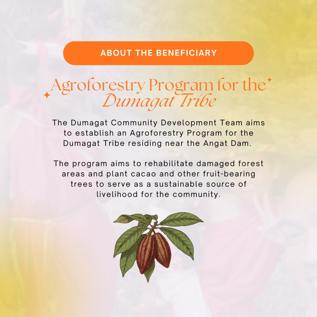 Single Session Exploratory Wheel Workshop: From Clay to Care