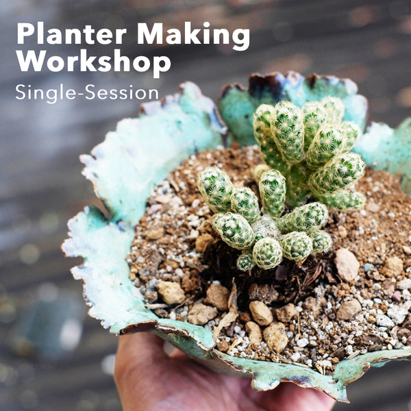 Planter-Making Workshop